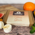 Load image into Gallery viewer, Citrus Grove Wax Melts