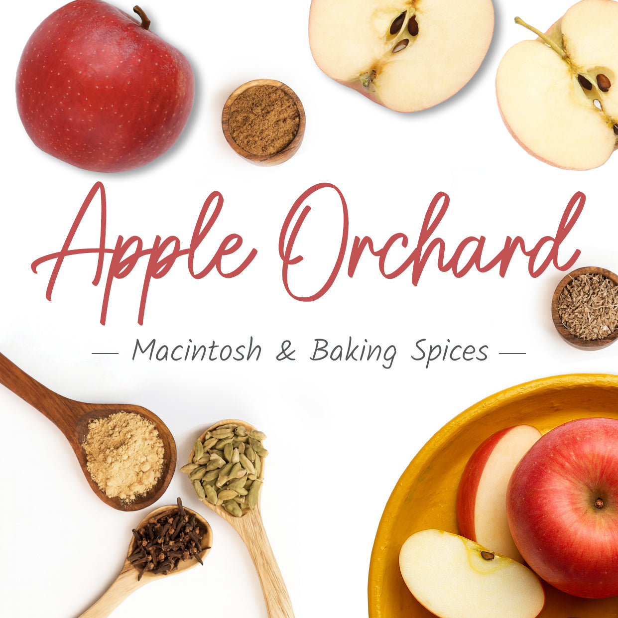 Apple Orchard